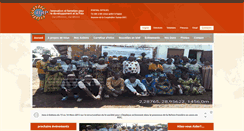 Desktop Screenshot of ifdp-africa.org