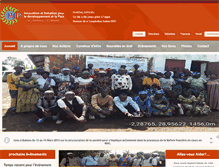 Tablet Screenshot of ifdp-africa.org